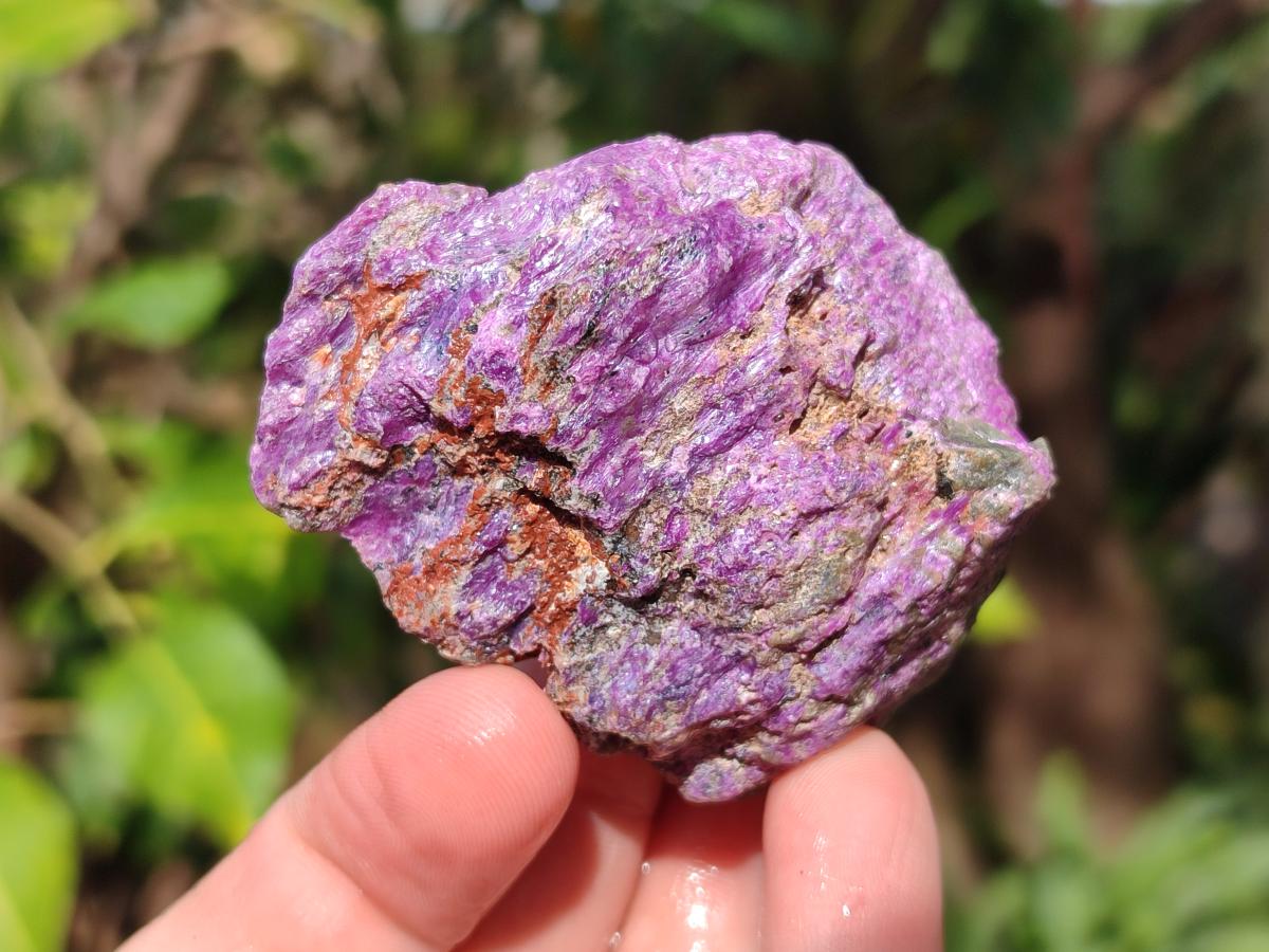 Natural Cobbed Stichtite Specimens x 24 From Barberton, South Africa