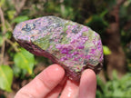 Natural Cobbed Stichtite Specimens x 24 From Barberton, South Africa