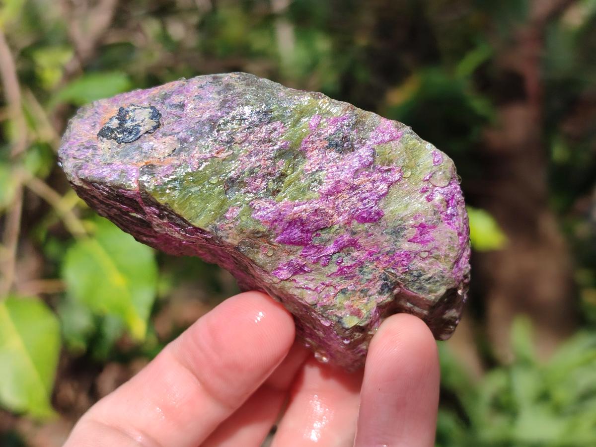 Natural Cobbed Stichtite Specimens x 24 From Barberton, South Africa