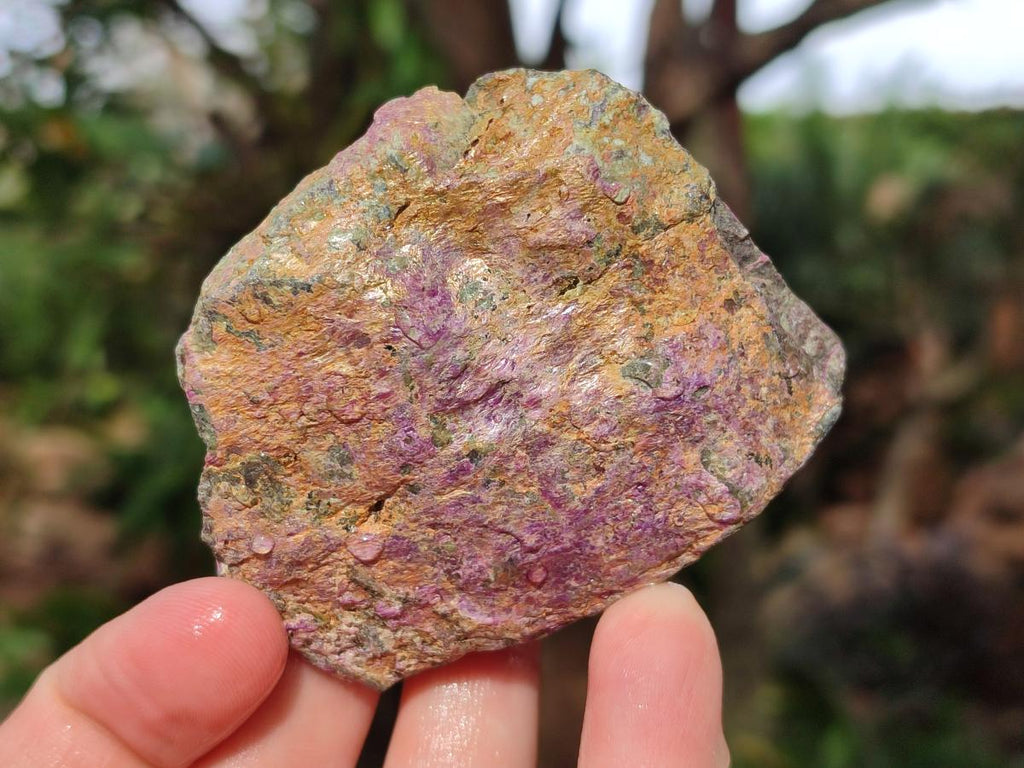 Natural Cobbed Stichtite Specimens x 24 From Barberton, South Africa