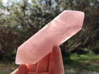 Polished Double Terminated Gemmy Rose Quartz Crystals x 6 From Madagascar - Toprock Gemstones and Minerals 