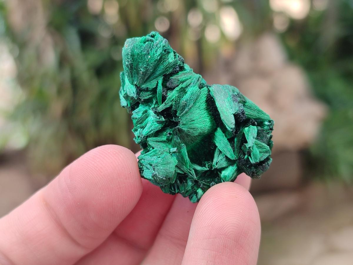 Natural Mini Silky Malachite Specimens x 70 From Kasompe, Congo - Toprock Gemstones and Minerals 