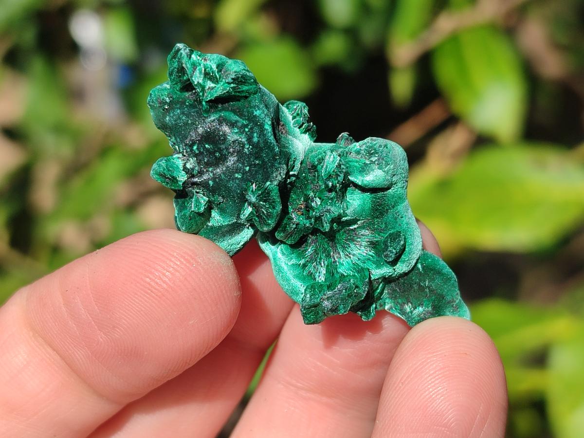 Natural Mini Silky Malachite Specimens x 70 From Kasompe, Congo - Toprock Gemstones and Minerals 
