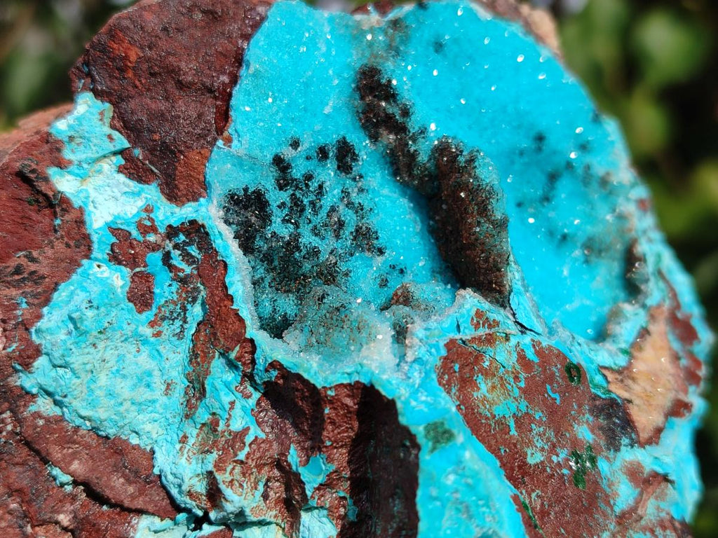 Natural Drusy Coated Chrysocolla Specimens with Copper and Heterogenite x 2 From Lupoto Mine, Congo - Toprock Gemstones and Minerals 