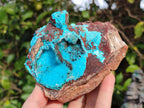 Natural Drusy Coated Chrysocolla Specimens with Copper and Heterogenite x 2 From Lupoto Mine, Congo - Toprock Gemstones and Minerals 