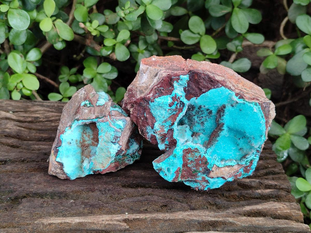 Natural Drusy Coated Chrysocolla Specimens with Copper and Heterogenite x 2 From Lupoto Mine, Congo - Toprock Gemstones and Minerals 