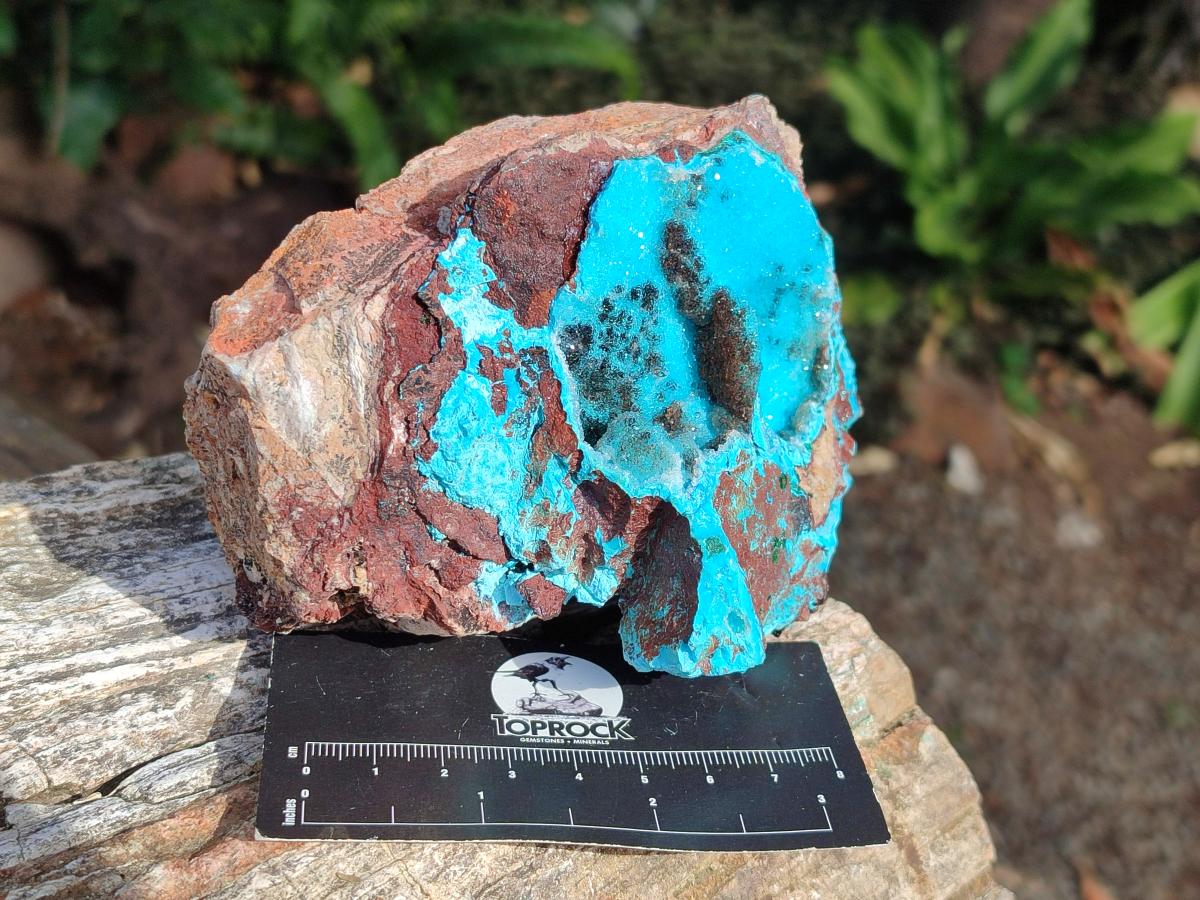 Natural Drusy Coated Chrysocolla Specimens with Copper and Heterogenite x 2 From Lupoto Mine, Congo - Toprock Gemstones and Minerals 