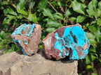 Natural Drusy Coated Chrysocolla Specimens with Copper and Heterogenite x 2 From Lupoto Mine, Congo - Toprock Gemstones and Minerals 