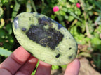 Polished Leopard Stone Palm Stones x 9 From Zimbabwe - Toprock Gemstones and Minerals 