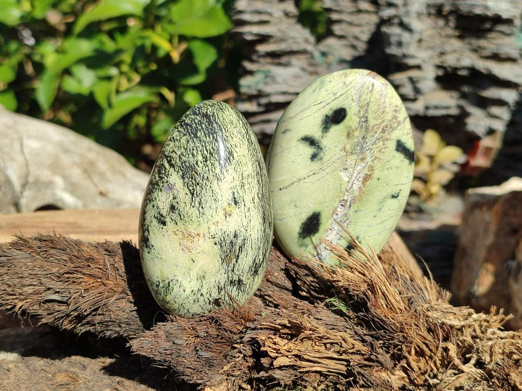 Polished Leopard Stone Palm Stones x 9 From Zimbabwe - Toprock Gemstones and Minerals 