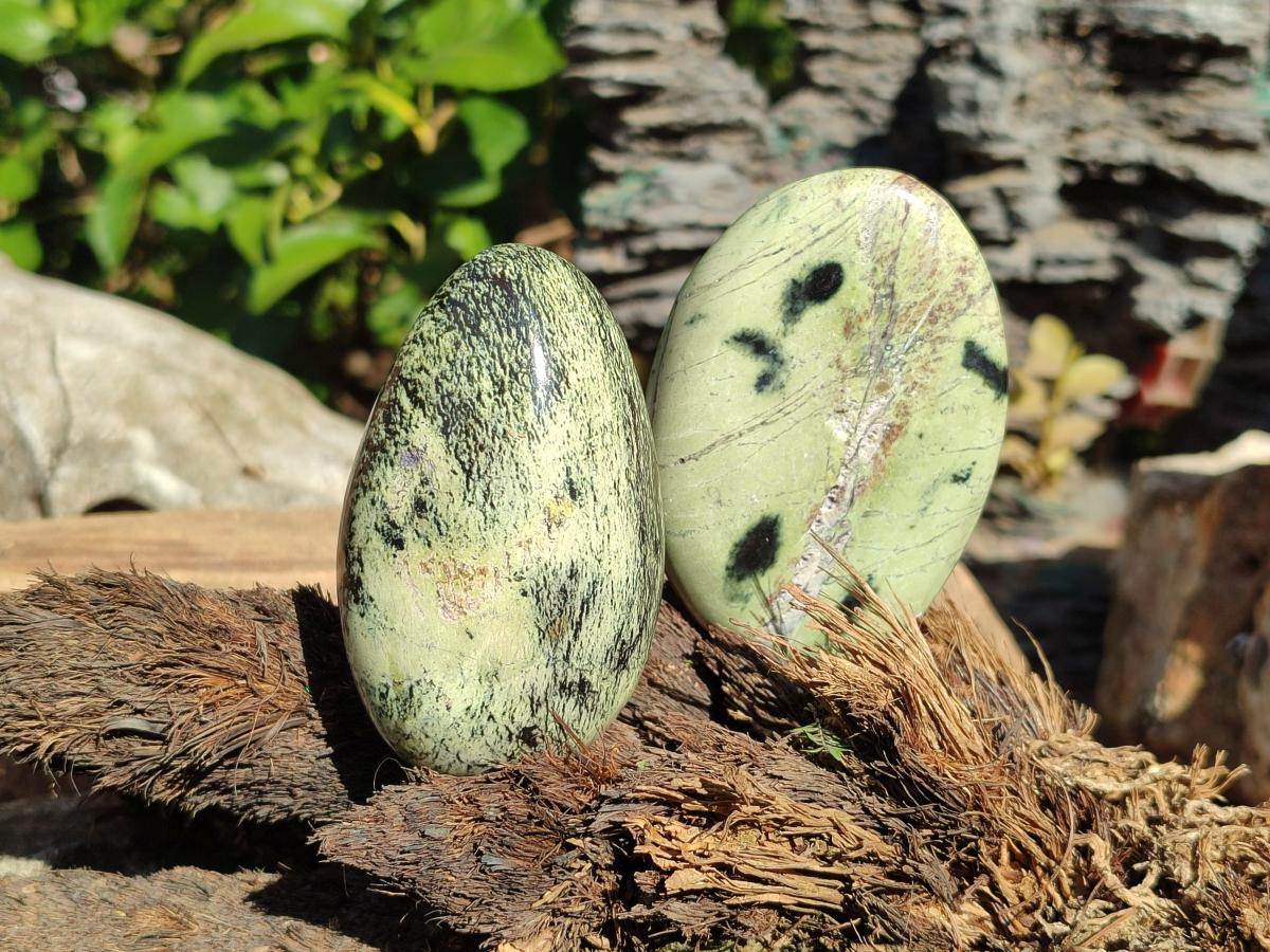 Polished Leopard Stone Palm Stones x 9 From Zimbabwe - Toprock Gemstones and Minerals 
