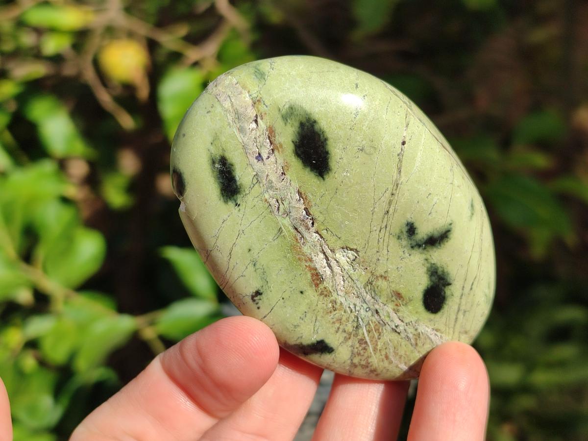 Polished Leopard Stone Palm Stones x 9 From Zimbabwe - Toprock Gemstones and Minerals 