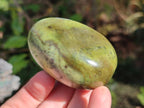 Polished Leopard Stone Palm Stones x 9 From Zimbabwe - Toprock Gemstones and Minerals 