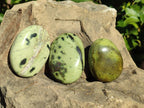 Polished Leopard Stone Palm Stones x 9 From Zimbabwe - Toprock Gemstones and Minerals 