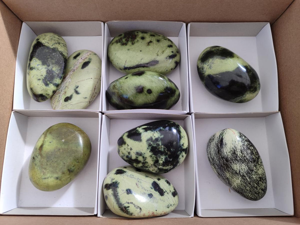 Polished Leopard Stone Palm Stones x 9 From Zimbabwe - Toprock Gemstones and Minerals 