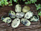 Polished Leopard Stone Palm Stones x 9 From Zimbabwe - Toprock Gemstones and Minerals 