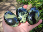 Polished Leopard Stone Palm Stones x 9 From Zimbabwe - Toprock Gemstones and Minerals 