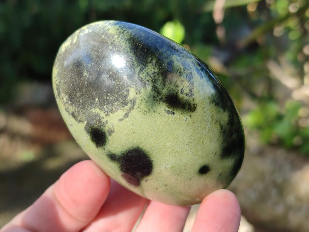 Polished Leopard Stone Palm Stones x 9 From Zimbabwe - Toprock Gemstones and Minerals 