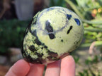 Polished Leopard Stone Palm Stones x 9 From Zimbabwe - Toprock Gemstones and Minerals 