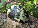 Polished Leopard Stone Palm Stones x 9 From Zimbabwe - Toprock Gemstones and Minerals 