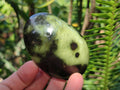 Polished Leopard Stone Palm Stones x 9 From Zimbabwe - Toprock Gemstones and Minerals 