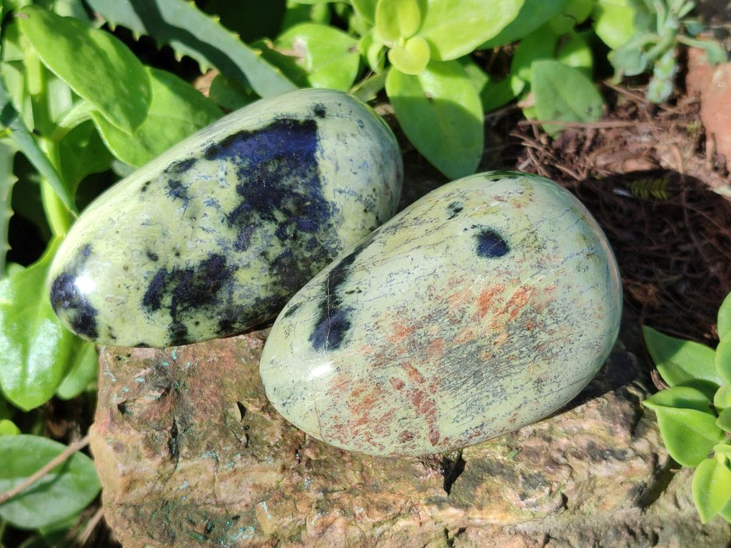 Polished Leopard Stone Palm Stones x 9 From Zimbabwe - Toprock Gemstones and Minerals 