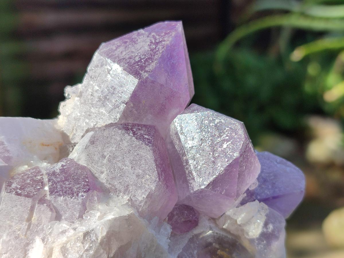 Natural Jacaranda Amethyst Crystals and Clusters x 4 From Mumbwa, Zambia - Toprock Gemstones and Minerals 