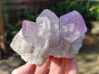 Natural Jacaranda Amethyst Crystals and Clusters x 4 From Mumbwa, Zambia - Toprock Gemstones and Minerals 