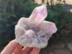 Natural Jacaranda Amethyst Crystals and Clusters x 4 From Mumbwa, Zambia - Toprock Gemstones and Minerals 