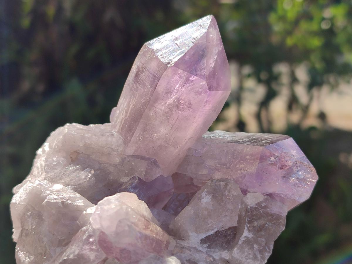Natural Jacaranda Amethyst Crystals and Clusters x 4 From Mumbwa, Zambia - Toprock Gemstones and Minerals 