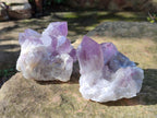 Natural Jacaranda Amethyst Crystals and Clusters x 4 From Mumbwa, Zambia - Toprock Gemstones and Minerals 
