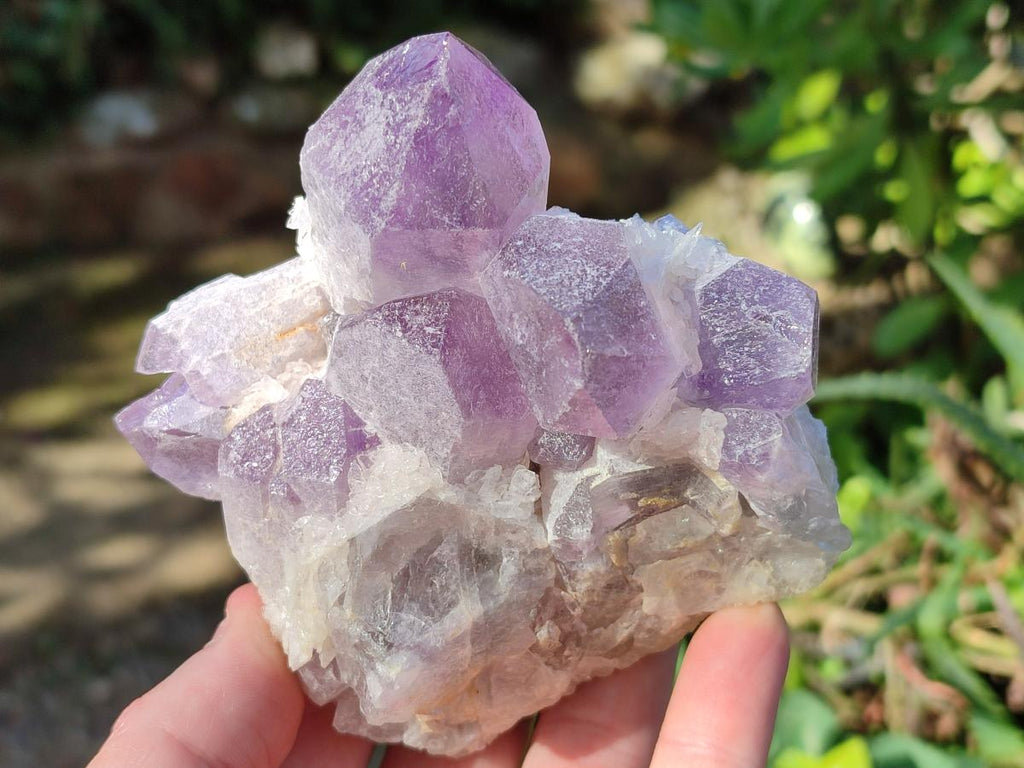 Natural Jacaranda Amethyst Crystals and Clusters x 4 From Mumbwa, Zambia - Toprock Gemstones and Minerals 