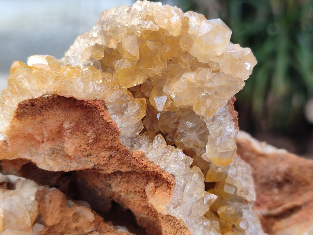 Natural Golden Limonite Quartz Vug Geode Specimens x 4 From Solwezi, Zambia - Toprock Gemstones and Minerals 