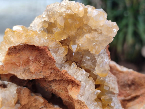 Natural Golden Limonite Quartz Vug Geode Specimens x 4 From Solwezi, Zambia - Toprock Gemstones and Minerals 