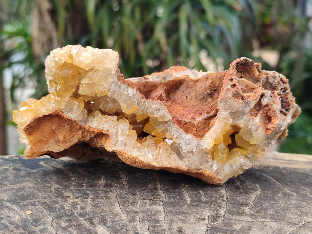 Natural Golden Limonite Quartz Vug Geode Specimens x 4 From Solwezi, Zambia - Toprock Gemstones and Minerals 
