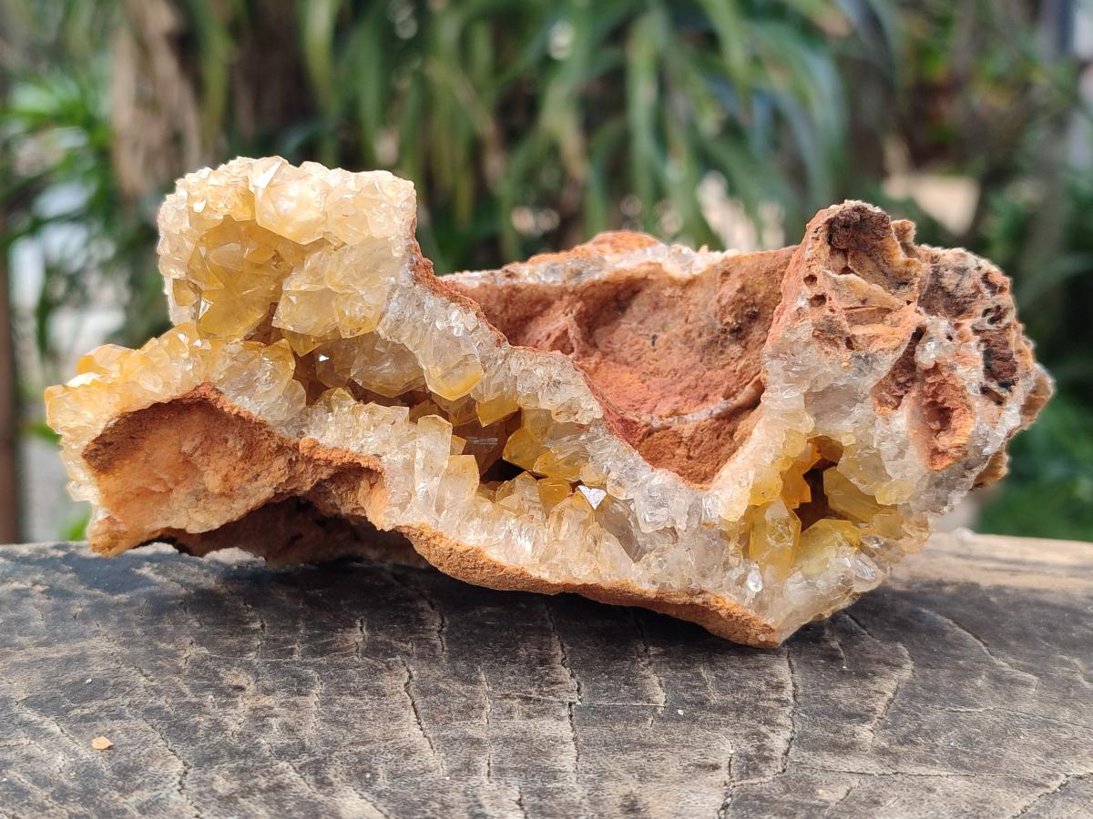 Natural Golden Limonite Quartz Vug Geode Specimens x 4 From Solwezi, Zambia - Toprock Gemstones and Minerals 