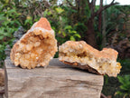 Natural Golden Limonite Quartz Vug Geode Specimens x 4 From Solwezi, Zambia - Toprock Gemstones and Minerals 