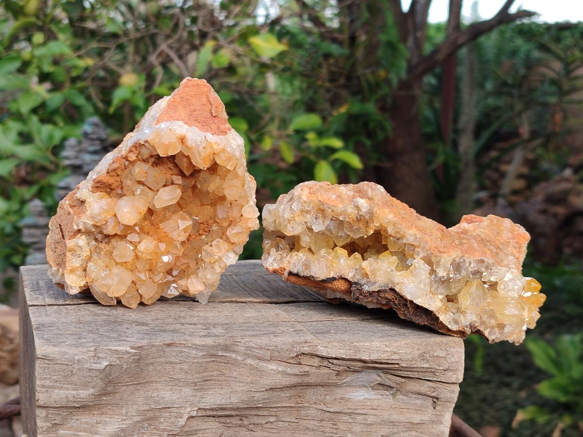 Natural Golden Limonite Quartz Vug Geode Specimens x 4 From Solwezi, Zambia - Toprock Gemstones and Minerals 