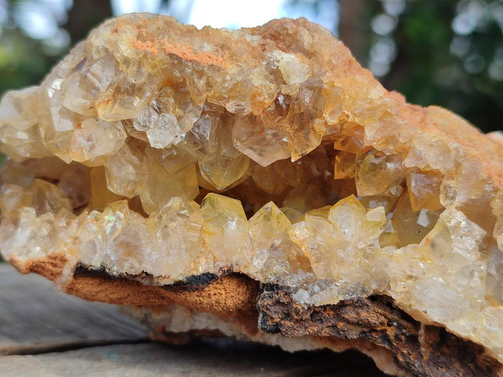 Natural Golden Limonite Quartz Vug Geode Specimens x 4 From Solwezi, Zambia - Toprock Gemstones and Minerals 