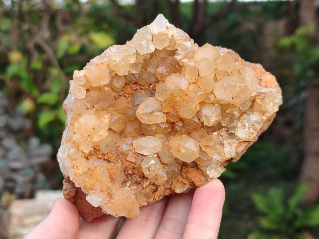 Natural Golden Limonite Quartz Vug Geode Specimens x 4 From Solwezi, Zambia - Toprock Gemstones and Minerals 
