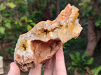 Natural Golden Limonite Quartz Vug Geode Specimens x 4 From Solwezi, Zambia - Toprock Gemstones and Minerals 