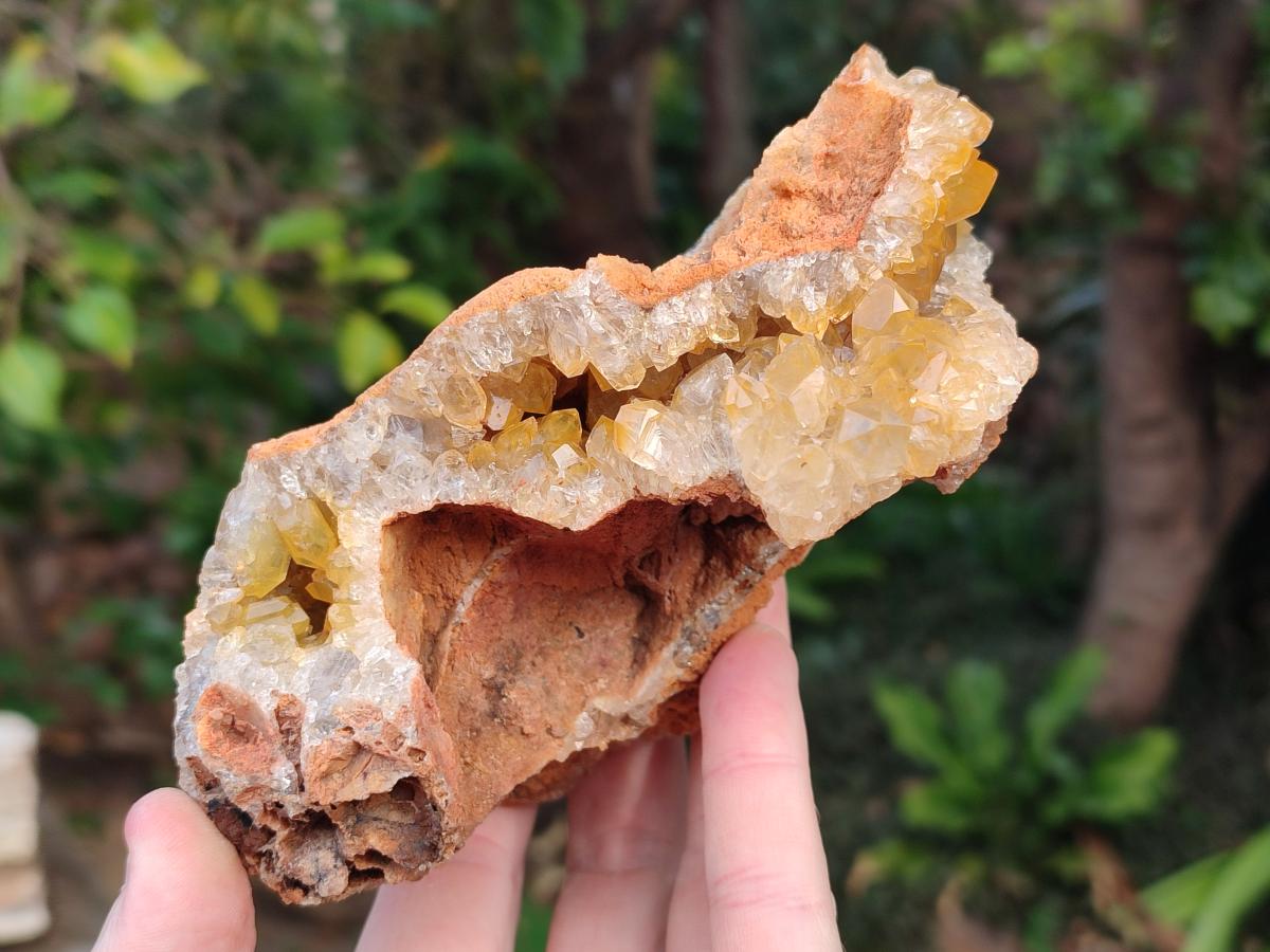 Natural Golden Limonite Quartz Vug Geode Specimens x 4 From Solwezi, Zambia - Toprock Gemstones and Minerals 