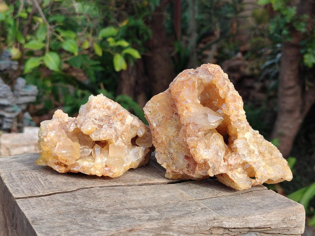 Natural Golden Limonite Quartz Vug Geode Specimens x 4 From Solwezi, Zambia - Toprock Gemstones and Minerals 