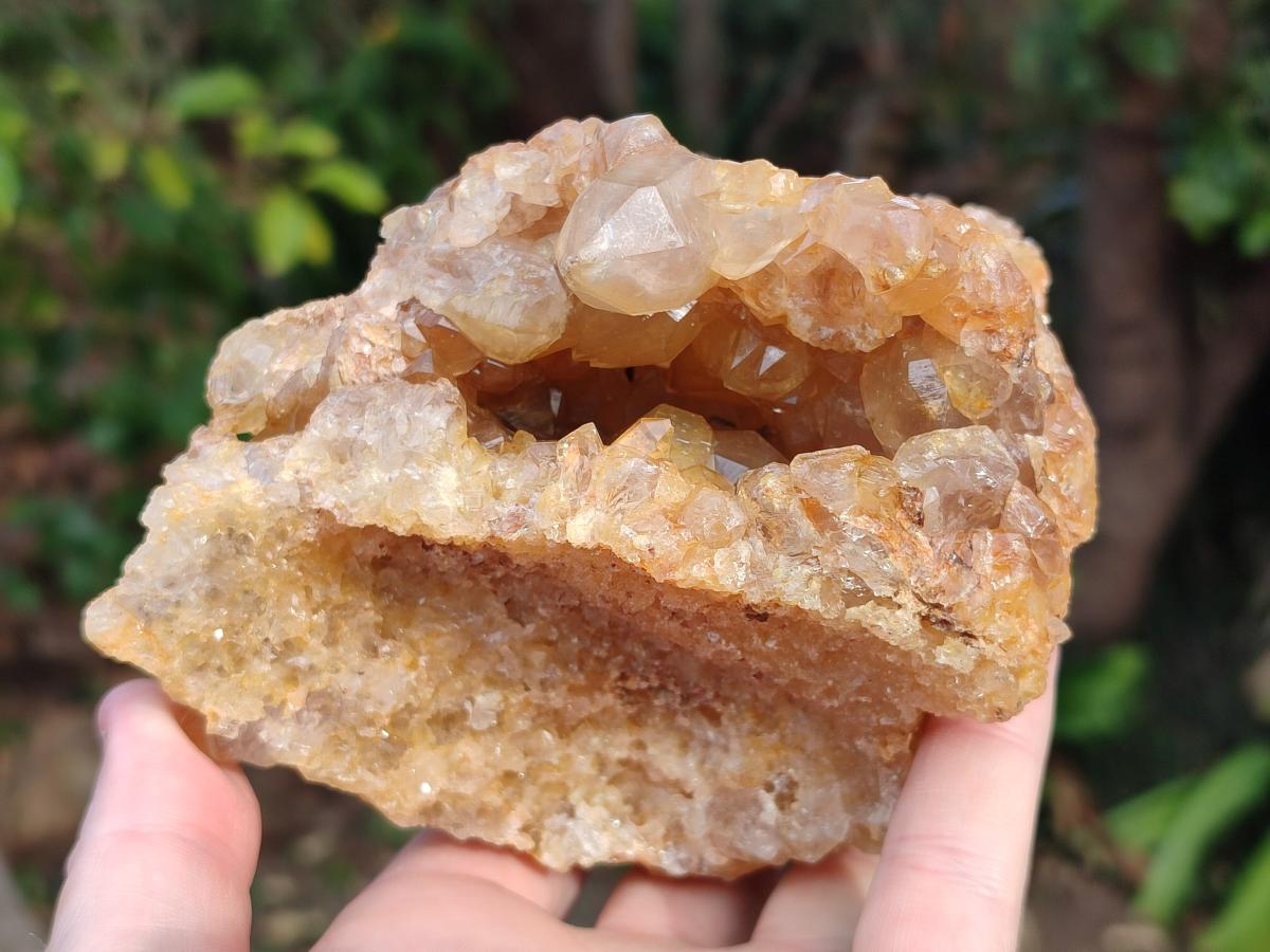 Natural Golden Limonite Quartz Vug Geode Specimens x 4 From Solwezi, Zambia - Toprock Gemstones and Minerals 