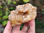 Natural Golden Limonite Quartz Vug Geode Specimens x 4 From Solwezi, Zambia - Toprock Gemstones and Minerals 