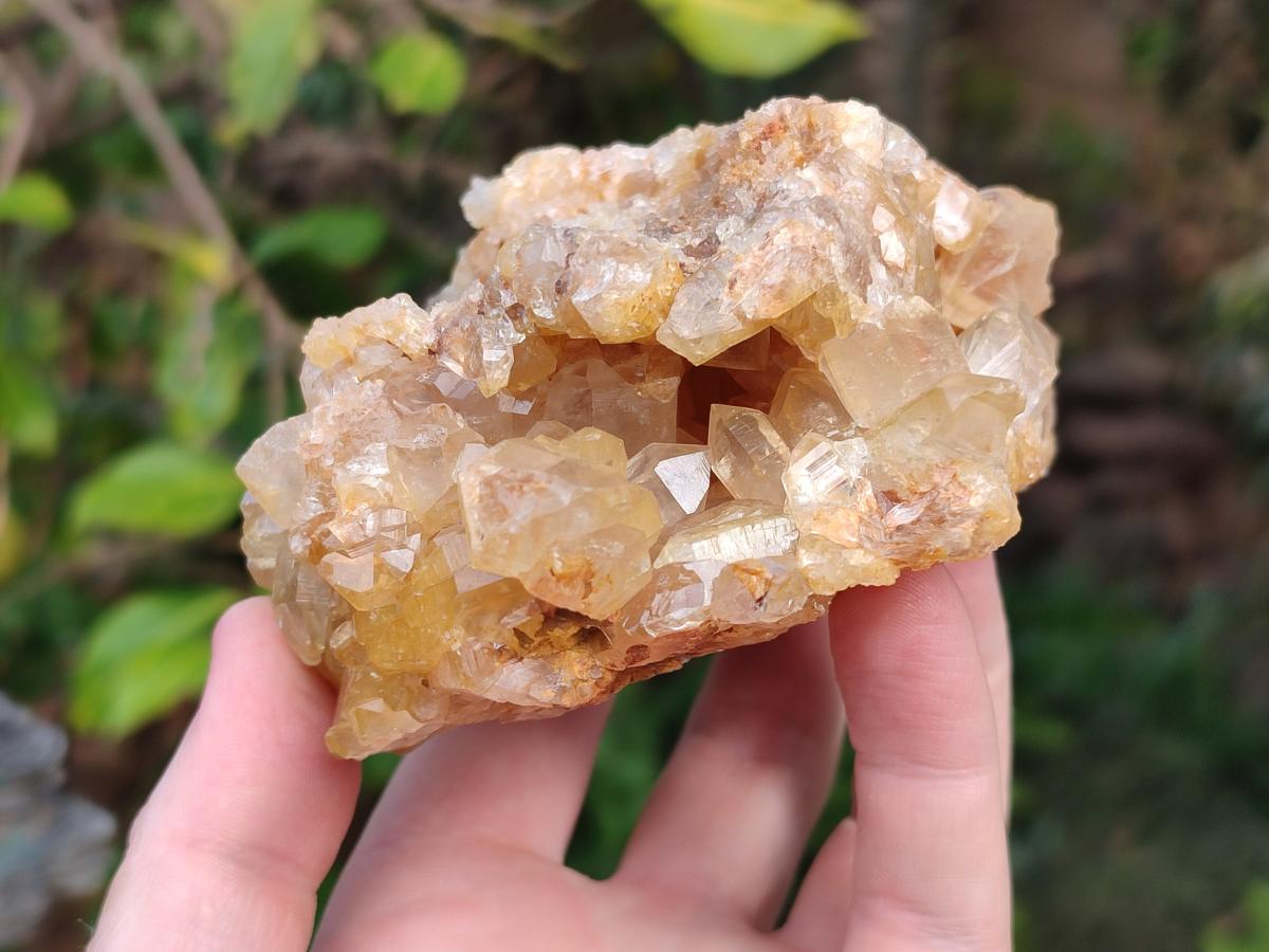 Natural Golden Limonite Quartz Vug Geode Specimens x 4 From Solwezi, Zambia - Toprock Gemstones and Minerals 