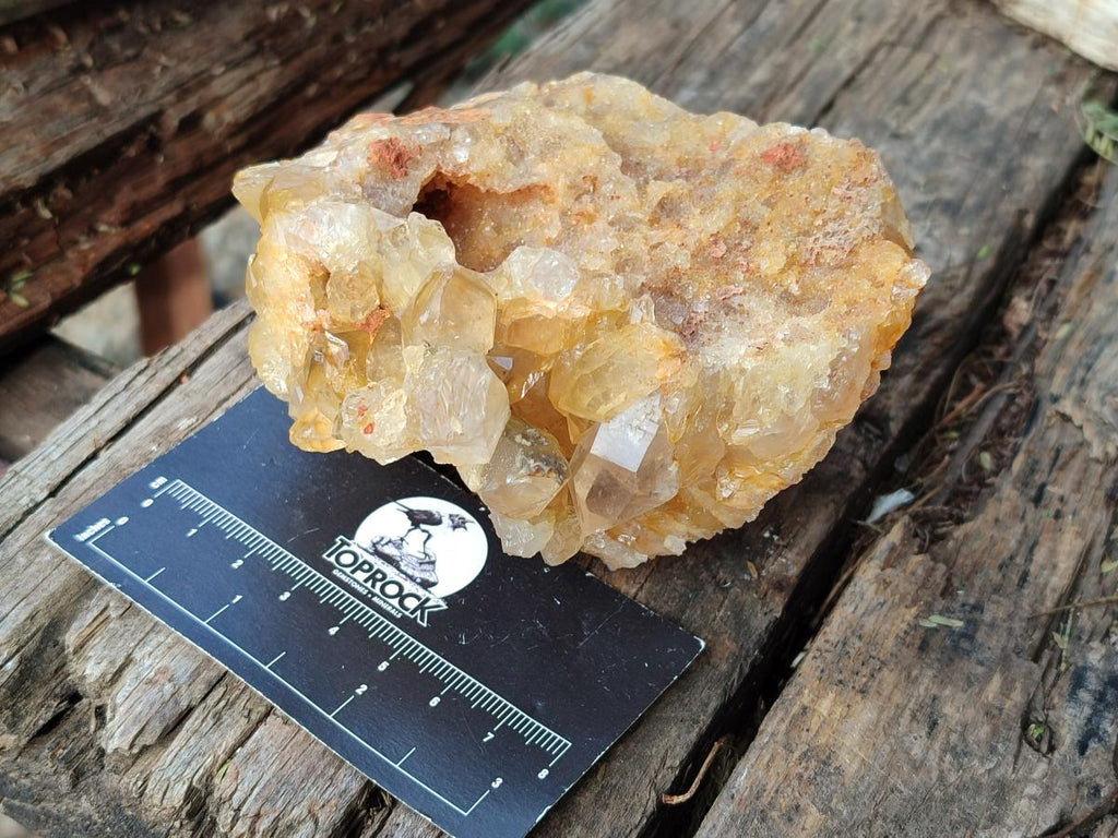 Natural Golden Limonite Quartz Vug Geode Specimens x 4 From Solwezi, Zambia - Toprock Gemstones and Minerals 