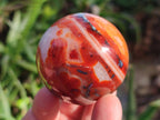 Polished Carnelian Agate Gemstone Spheres x 6 From Madagascar - Toprock Gemstones and Minerals 
