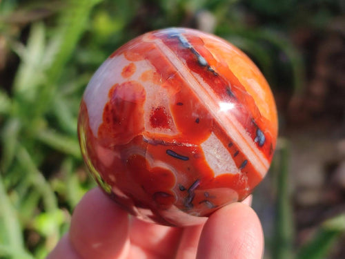 Polished Carnelian Agate Gemstone Spheres x 6 From Madagascar - Toprock Gemstones and Minerals 