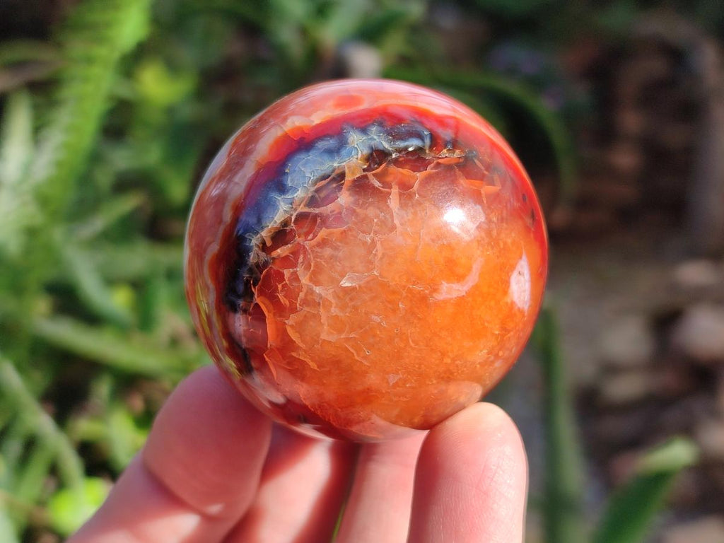 Polished Carnelian Agate Gemstone Spheres x 6 From Madagascar - Toprock Gemstones and Minerals 